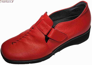 yCHOSHIKAWAz wSALON DE GRES 16257xThO[ Xb|21.5cm`25cm EEEEfB[X bh}WbNe[v tbg