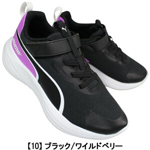 v[} PUMA Xj[J[ Xs[hX^[ V5 309935 18cm`24cm LbY [JbgXj[J[ jOV[Y ^C qC ʊwC }WbNe[v xN ʃt@Xi[ ₷C X