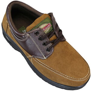 Y JWAV[Y FKO1304 LEJ[L XG[h GA[NbV\[ qC V[Y C Ռz h y amC JV X[p[\tg 1304