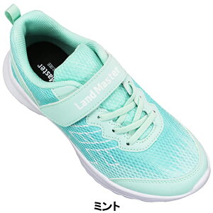 ALX h}X^[ Xj[J[ JJ898 /ԁEu[E~gEsN 19cm`24.5cm LbY WjA [JbgXj[J[ V[Y qC ^C }WbNe[v ʃt@Xi[ 2E LJJ8980 Ac