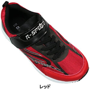 yGg[Ń|Cg5{11/27()1:59z LbYXj[J[ RXs[h BJS377 ubNEbhEC 19cm`24cm LbY WjA j̎q X|[cV[Y [Jbg qC ^C R