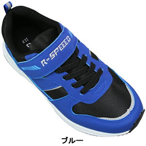 yGg[Ń|Cg5{11/11()1:59z LbYXj[J[ RXs[h BJS378 ubNEu[ 19cm`24cm LbY WjA j̎q X|[cV[Y [JbgXj[J[ qC ^C R