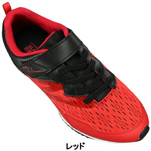 [X^[ X[p[X^[ Xj[J[ SS J1181 ubNEu[Ebh 20cm`24.5cm LbY WjA j̎q V[Y jOV[Y qC ^C ʊwC ʉC ₷C 2E ee 