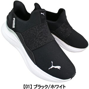v[} PUMA Xb|Xj[J[ 311999 \tgCh n[j[ C[YC GL W AC{[ ubN 23cm`24.5cm fB[X jO EH[LO XbvC nYt[ RȂ 