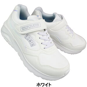 yGg[Ń|Cg5{12/11()1:59z GhEB EDWIN hXj[J[ EDW3675 zCgEubN 19cm`23cm LbY WjA ̎q V[Y Xj[J[ C RȂC ʊwC qC ^