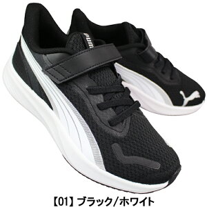 v[} PUMA Xj[J[ 311650 pEXCg AC PS u[EubNECG[ 19cm`21cm LbY WjA ̎q [JbgXj[J[ V[Y C RȂC qC ^C ʊwC ʉC