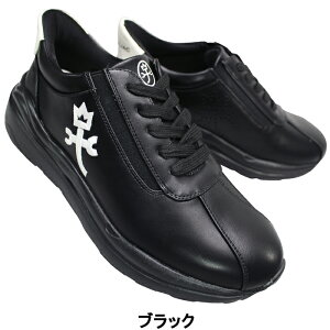 JXeoWbN nYt[V[Y CBJ702 zCgRrEubN 25cm`27cm Y JWAV[Y Xj[J[ RC amC g킸ɗC ₷C }hXА C