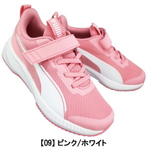 v[} puma }WbNe[vXj[J[ 401527 tC[3 AC+PS sNEu[ 18cm`21cm LbY WjA [JbgXj[J[ V[Y C qC ^C ʊwC ʉC