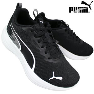 �v�[�} PUMA �X�j�[�J�[ 313959-01 �X�s�[�h�����X�^�[ V5 PL GR �u���b�N/�z���C�g 22cm�`24cm �W���j�A �L�b�Y ���[�J�b�g�X�j�[�J�[ �����j���O�V���[�Y �X�|�[�c�V���[�Y �^���C �q���C �R�C �ʊw