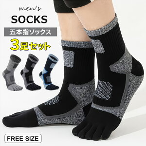 X|[cAfXN[NȂǂ̃rWlXpɊpł 3g ܖ{w\bNX C N[ Y  X|[c C St Ro ƗpjO\bNX 5{w jp JW