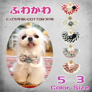 ƂĂȂ L [X RT[W  _u  OWA[  3TCY 5J[