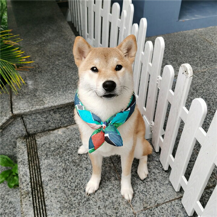 楽天市場 首に通すだけのお手軽おしゃれ ペット アクセサリー スカーフ 唐草模様 和柄 和風 ネックスカーフ 犬 猫 ペット用品 記念写真 夏祭り 靴下プレミアム