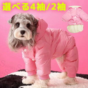 ׂ24 U t[ht t  _E  WPbg p[J[ h  n[lX hbOEFA H ~ Lv ybg    AE^[ R