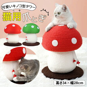 ܂Ƃ L LmR^ Lbg^[ |[  34cm  28cm TCU tl ꊪ ˂ ߂Ƃ lR ܂Ƃ|[ ܌ ܂݂ S2F