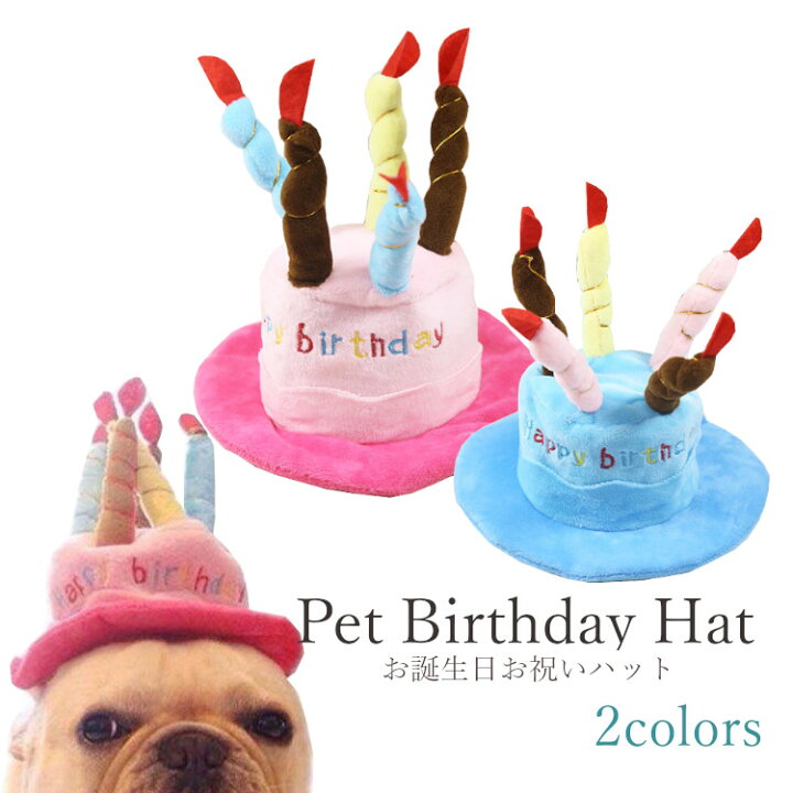 楽天市場 ペット 犬 猫 バースデー ハット お誕生日 祝い 帽子 誕生日 主役 ドッグ キャット 全2色 ピンク ブルー 靴下プレミアム