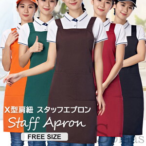 X^btGv Gv s[X X^R  V[g  |Pbg ۈm et m K[fjO g}[ Vv t[TCY 5F