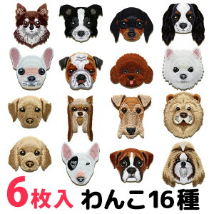 6 16̃R  ACby  v[h ` ueA t`uhbO ^ S[fgo[ _bNX NIeB hJby |Cg IWi