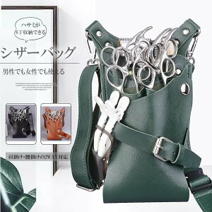 |E|2WAYΉIPUU[ VU[P[X tFCNU[ V_[  nT~6  VU[obO ԉVU[P[Xet