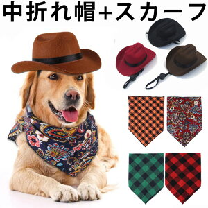 łJE{[CZbg EFX^X ܂X nbg XJ[t ubN`FbN  RXv hbOEFA tH[} NR[f bN tFgX ^ ^ 