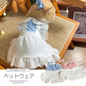 DŉChfUCI ybgpi ybgObY Lp p {t RX`[ RXv Ch s[X [X Pl t hX nEBNX}X RXv