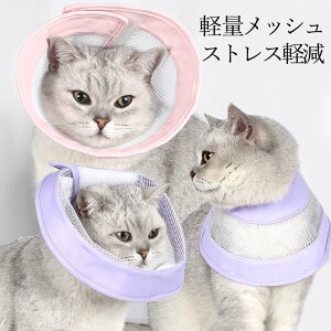 Sy yʃbV GUxXJ[ ybgp \tg _炩 y y pPA p J[[ ی rߖh~ ~h~  pEFA }WbNe[v