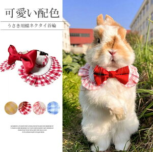 ybgƂ킢I4FWJ ybgEFA p X^C ETMp n[lX nX^[ ^ EFA MK`FbN { ybgpi ybg  