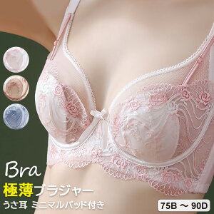 yăgbvXɂЂтɂɔuW[ uW[ [X u  fB[X p  ~j}pbht R 43itbN \ \tgC[ XgXt