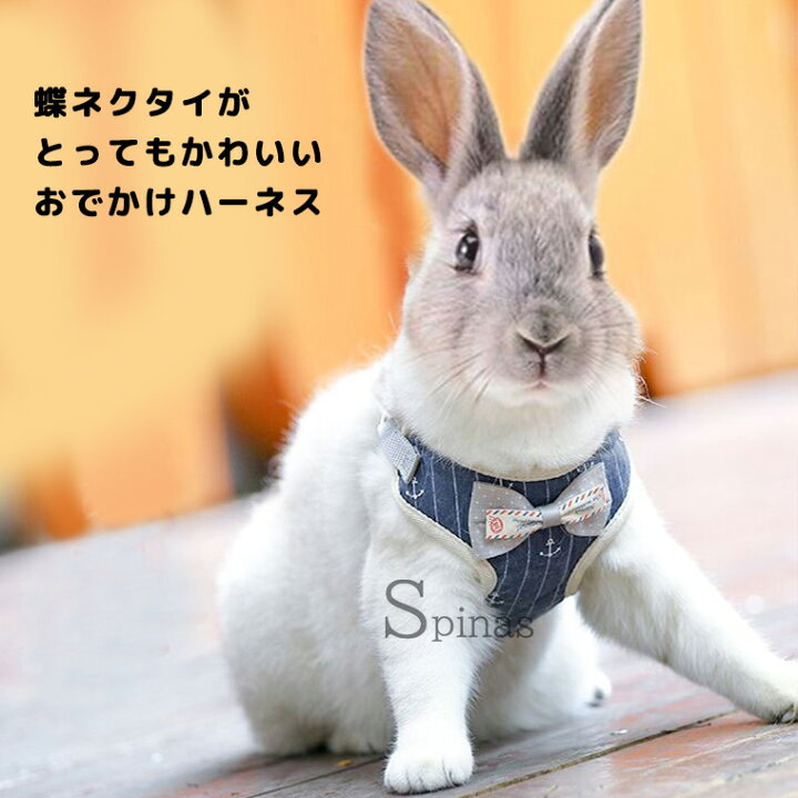 楽天市場 Xsサイズsサイズ 蝶ネクタイ付ハーネス お散歩リード うさぎ用 ウサギ用 リード ハーネス うさぎハーネス ペットウェア うさぎウェア ネクタイ 靴下プレミアム