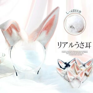 p[eB[e[}p[NŐオIەt    RXv J`[V RX`[ Ch Aj} Ã B^ [^ wAANZT[  e 