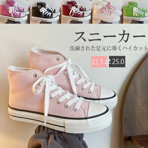 X^COpbƖ邭I6FWJ Xj[J[ LoX fB[X JWA V[Y C n Vv JWA n nCJbgXj[J[ ʊw ₷ AEghA 