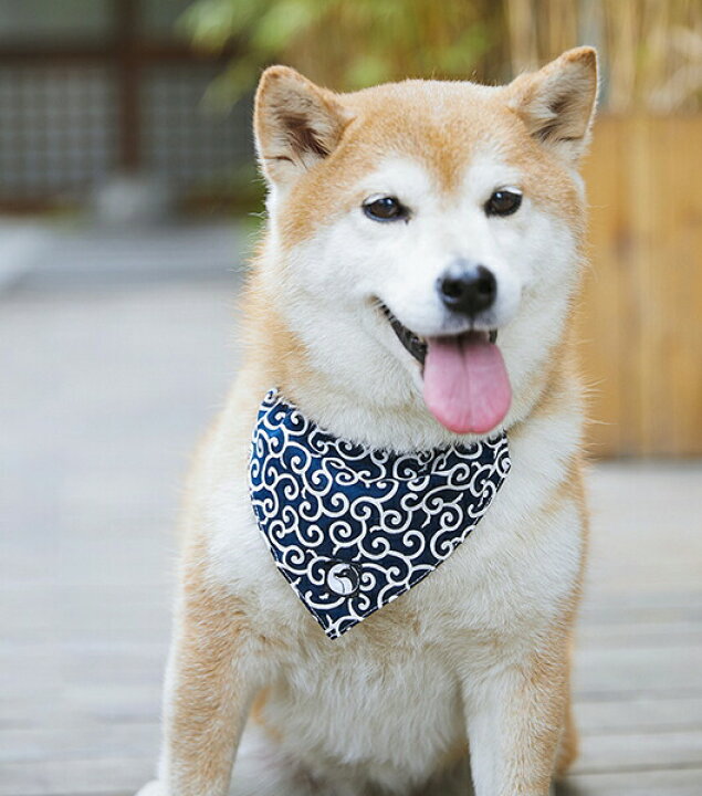 楽天市場 花柄模様が可愛い スカーフ 首輪 2点セット 唐草模様 バンダナ 唐草 犬 猫 ペットスカーフ ペット用品 和柄 記念写真 靴下プレミアム