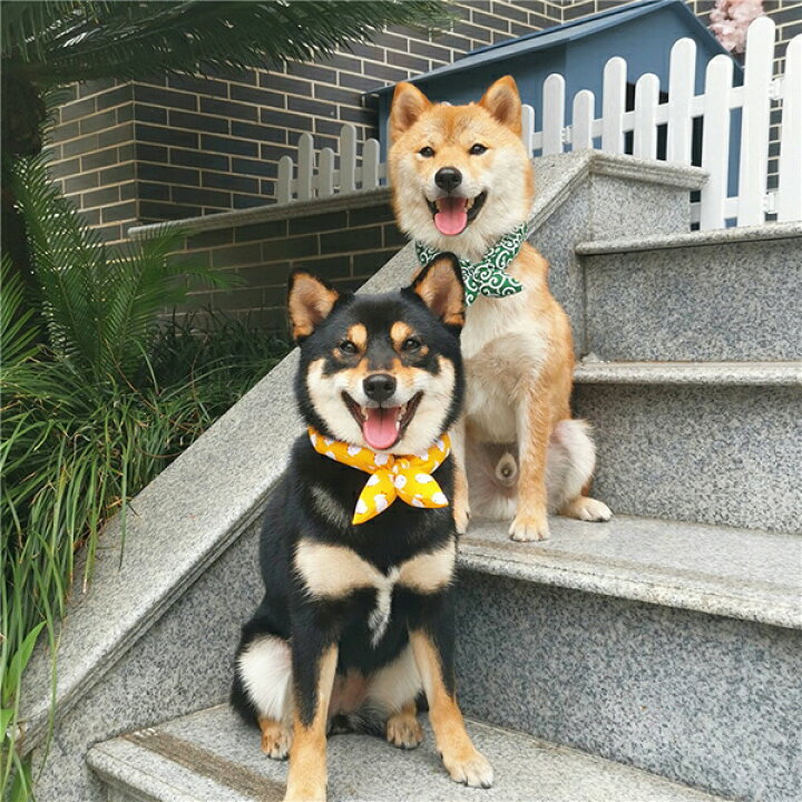 市場 可愛くて癒される ペットグッズ 猫 犬猫兼用 スカーフ 唐草模様 リボン風 犬 アクセサリー 首輪