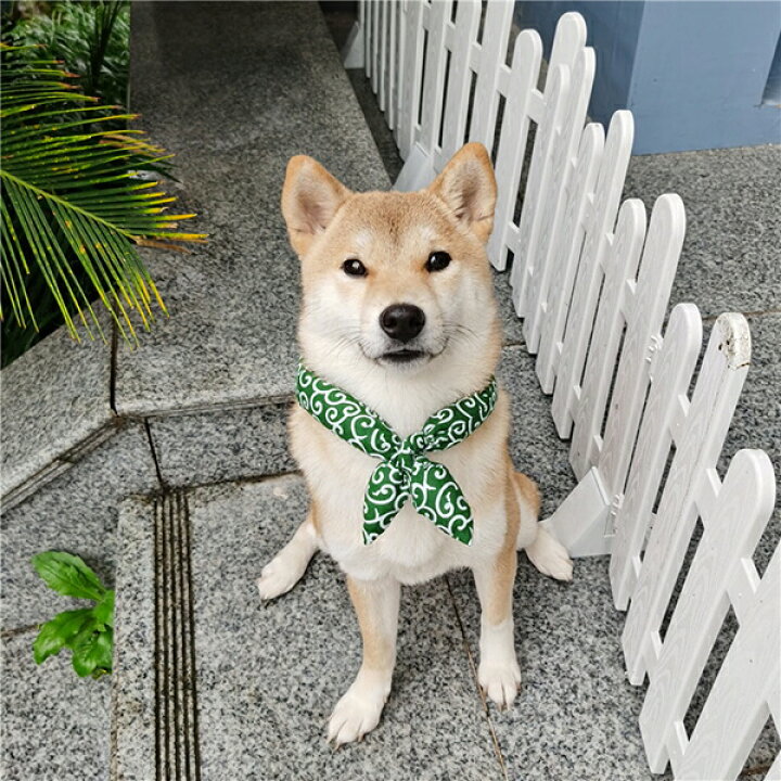 Off 可愛くて癒される ペットグッズ 犬 猫 唐草模様 アクセサリー リボン風 犬猫兼用 スカーフ 首輪 犬用 猫用 小型犬 中型犬 和柄 ネック バンダナ 風呂敷首巻 かわいい おしゃれ Nicolacigroup It
