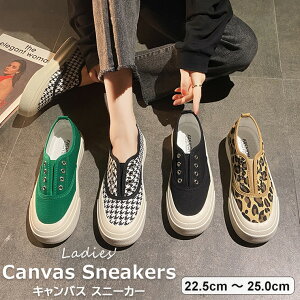 ƗRȂ^CṽLoXXj[J[ LoX Xj[J[ fB[X RȂXj[J[ LoXV[Y Xb| EȒP 3cm\[ S4F