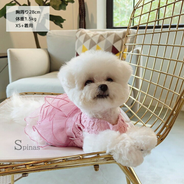 楽天市場】ふんわりゴージャスなパーティードレス ペット服 ペット 犬 
