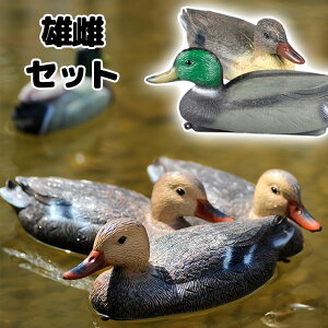 p  IXXZbg fRC ł Ƃ  Y vw Zbg 2Zbg ɕ A   vw Y ߂ 1:1