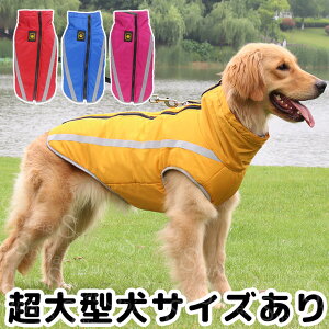 ^TCY t[X VvxXg h CR[g J hbOEFA  ybg ^ ^ ^  U A[~[ {A {A N  iD