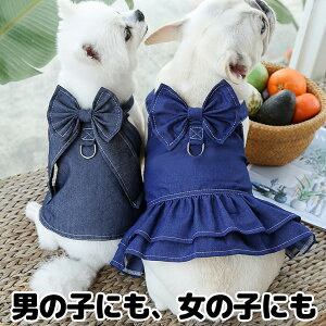 XS-3XLTCY fjłR[f {t fjybg  fj   H~ ^ ybg  }WbNe[vE s[X