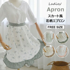 Dԕiȕ͋CɁIS4F ԕ  Gv XJ[g Lb`G JtFGv O|Gv |Gv ԉ 