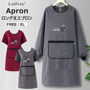 s[XIIׂ3   O [NGv Ɩp XbN ۈm fB[X HX 킢Gv B ۂ JtFGv