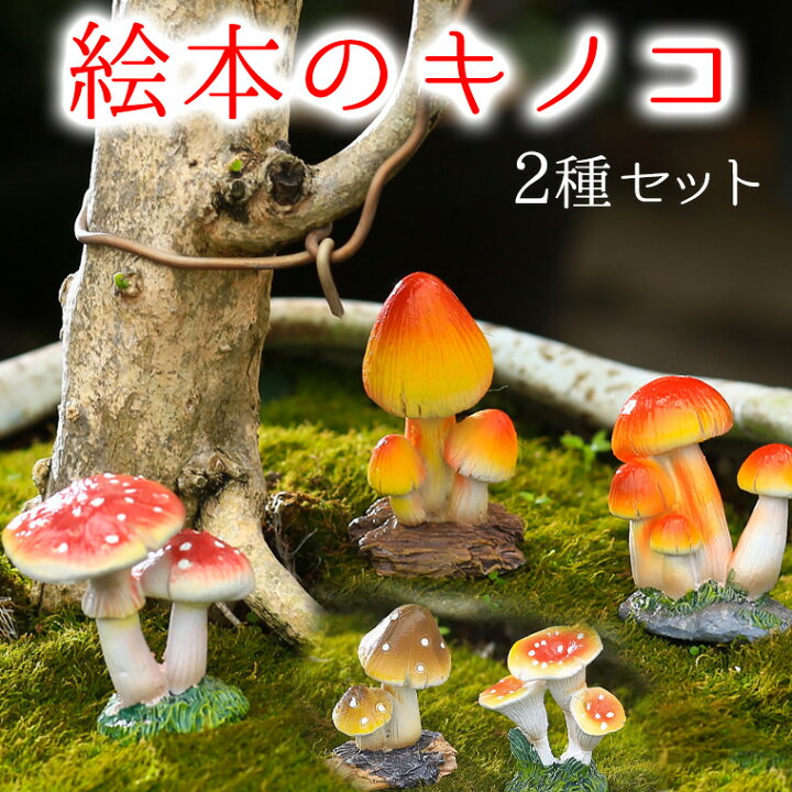 楽天市場】絵本みたいなキノコ2種セット 苔玉 多肉 ミニチュア 