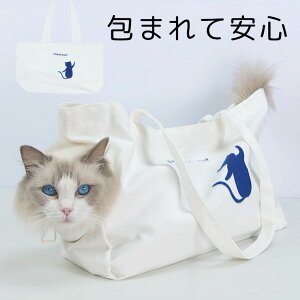 傫Jē₷ ܂ĈS ybgpL[g[g lbg R jR  L hCu o| g[gobO L[obO XO V_[obO y Vv