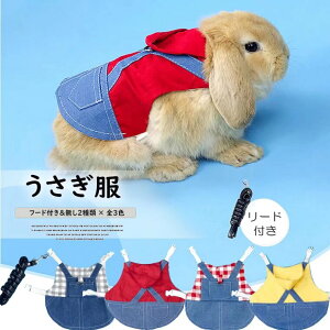 xgLOBeŎgɂ IIׂ2 2_Zbg  n[lX fj iq   ETM qL n[lX [h Zbg bg q p Ď Up