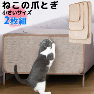 2g STCY MTCY ܂ƂDȃlR 30×40cm 40×60cm B \ ܂Ƃ \t@[ ܂Ƃ}bg }bg  Ђ ߂Ƃ