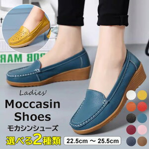 ₷ĕ₷ 􃂃JV [t@[ fB[X  EFbW\[ RtH[gV[Y RtH[gV[Y XNGAgD d tH[} ItBX V[Y wlC