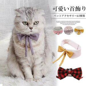 Vc݂Ƒ傫ȃ{^Cڂ䂭p[eB[J[IybgpX^C lN^C Lp lN^C ANZT[  Lp oCJ[ zF JK `FbN t  LOBe U p