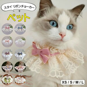 ybg̃IVɂPA[ɂIIׂ10 ybgX^C [X {`[J[  Lp p ETMp ^ ^ ˂   t [X t ʋC 