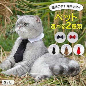 Vc݂Ƒ傫ȃ{^Cڂ䂭p[eB[J[IIׂ2 ybgpX^C lN^C Lp lN^C ANZT[  Lp oCJ[ zF JK `FbN t  LO