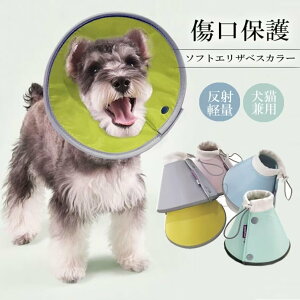 Ȃߖh~Aݖh~ɖ𗧂܂IS5F Lp p \tg^Cv ː݌v y ybgGUxXJ[ \ rߖh~ XgXy pPA pi ~h~  