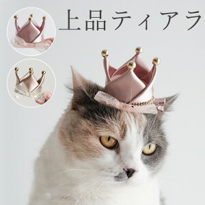 iŉeBA P vZX  L  ˂ a ߑ p[eB[ LO  ybg Xq nbg hbOEFA o[Xf[  L  C f  j ʐ^ B